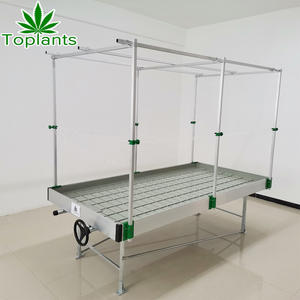 เรือนกระจก ห้องงอกเมล็ดพืช ระบบน้ําท่วมและระบายน้ํา ม้านั่งติดตั้งไฮโดรโปนิกส์ - Product Image 3