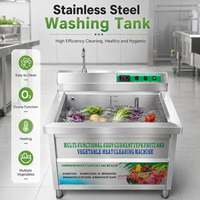 SAIDASHI Industriële Luchtbelletjes Groentewasmachine met Ozonverwarming voor Vers Gesneden Salade en Voedselverwerkingsbedrijven