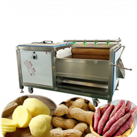 Nieuwe elektrische energiezuinige wortelgroente-, maïs- en fruit-wortelachtige Chinese kruidenrollerborstel was- en schilmachine