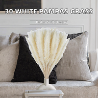 30 Pcs Rumput Pampas Putih Awet 17 Inci/45cm Dekorasi Rumah Dapur Taman Pesta & Fotografi Grosir Pasokan Massal