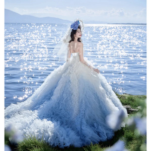 Blue Gradient Strapless Ball Gown Wedding Dress Tulle Natural Waistline For Photography And Travel Shoots - Product Image 3