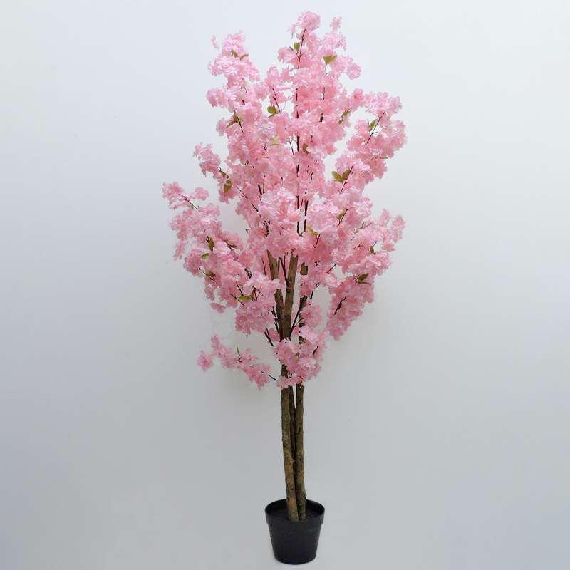 P240844XS-150 Pink