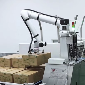 Robot de Paletización Cobot de 6 Ejes HUAYAN con PLC y Caja de Cambios - Paletización de Cartones/Logística, Carga Útil de 3-30 kg - Product Image 1