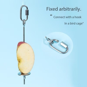 Eco-Friendly Stainless Steel Parrot Forager Toy Fork for Feeding Corn Apple <strong>Fruit</strong> Vegetable <strong>Bird</strong> Supplies <strong>Bird</strong> <strong>Food</strong> Treat Skewer - Product Image 1