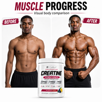 Créatine en poudre de force avancée pour la récupération musculaire et l'hydratation – Complément de fitness formule personnalisée – Vente en gros usine OEM ODM