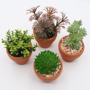 Plantas <span class=keywords><strong>Suculentas</strong></span> Artificiales <span class=keywords><strong>con</strong></span> Decoración de Maceta de Arcilla, Macetas de <span class=keywords><strong>Flores</strong></span> de Plástico Personalizadas al por Mayor, <span class=keywords><strong>Flores</strong></span> y Plantas Preservadas PA83 - Product Image 5