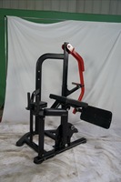 Nouvel équipement de Fitness de gymnastique en acier Commercial multi-fonction hanche fessier jambon Squat formation plaque d'entraînement Machine chargée pour jambe bras
