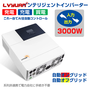 Convertisseur solaire hors réseau <span class=keywords><strong>LVYUAN</strong></span> 3Kw 12V 3000 Watt Convertisseur hybride Onduleur solaire à onde sinusoïdale pure avec Mppt - Product Image 5