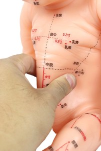 Modello Didattico di Agopuntura per Bambini, Modello di Formazione per Massaggio Tradizionale Cinese su Tutto il Corpo - Product Image 3