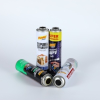 Bombe aérosol vide rechargeable en fer blanc pour l'entretien automobile, vente en gros usine