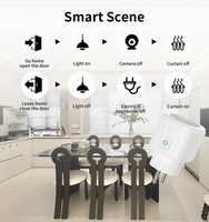 Prise intelligente Wi-Fi Tuya Smart Life avec commande vocale Alexa, 16A/20A, avec fonction de surveillance de la consommation et de programmation, prise française