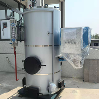 Chaudière industrielle verticale à vapeur de biomasse, composant préfabriqué en béton pour le durcissement des poutres, alimentée par granulés de biomasse, en acier inoxydable