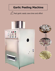 Two Suitable Stainless Steel Automatic <b>Sheller</b> for Commercial Use Efficient Garlic Barrel Type Peeling Machine Easy to Operate - Product Image 5