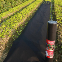Rouleau de tissu paysager en polypropylène non tissé, tapis anti-mauvaises herbes en PP avec service de découpe