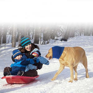 गर्म लक्जरी ठोस ऊन कपास बिल्ली और कुत्ते कान मफ सभी मौसमों के लिए - Product Image 4