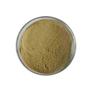 Poudre d'extrait de racine d'ortie de haute qualité, issue de racines sélectionnées d'Urtica Dioica, offrant une excellente fluidité pour les solutions à base de plantes. - Product Image 1