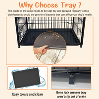 Vente en gros de grandes cages pour animaux de compagnie, meubles de cage pour chiens en bois, chenils avec plateau en plastique amovible