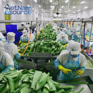 Best Choice Aloe Vera-Gel d'Aloe Vera frais de haute qualité-Efficace pour le soulagement des coups de soleil, le soin des vergetures et la réparation de la peau - Product Image 6