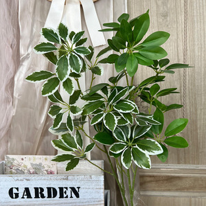 Bande de plante artificielle en bois de cajou 30cm-100cm, fleur en soie verte et blanche, accessoire de décoration de mariage - Product Image 3