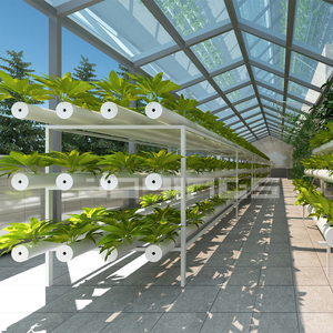 Estante de cultivo hidropónico para plantas de interior, estante para cultivo de múltiples niveles, de alta calidad, para reproducción Vertical - Product Image 3