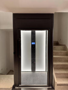 Подгонянный открытый Крытый Тяговый лифт с панорамным стеклянным валом - Product Image 4