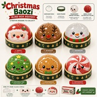 Boîte de jouets Squishy en forme de boulettes de Noël, 6 styles festifs en TPR à rebond lent, jouet anti-stress, boîte de présentation pour comptoir