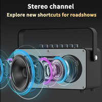 Ensemble de haut-parleurs de karaoké portables professionnels ABS-D2 Mini pour 5.0 pour l'extérieur, éclairage LED RVB, home cinéma, scène, ordinateur