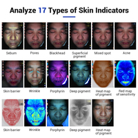 Analyseur de peau portable, scanner facial, analyseur de visage avec 18 langues