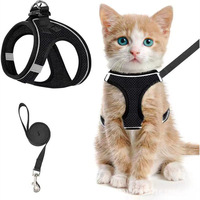 Ensemble Harnais et Laisse Réfléchissant en Nylon Respirant pour Chat, Écologique, Anti-Évasion, Réglable, Vente en Gros