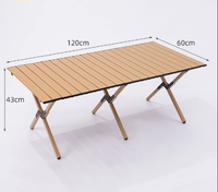 Table de camping moderne en alliage d'aluminium, pliable et portable, pour barbecue, pêche, vente de rue et utilisation sur la plage