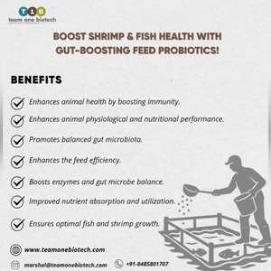 Aliments probiotiques pour poissons de qualité supérieure pour une digestion et une santé optimales - Product Image 1