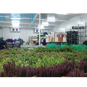 Sistema de refrigeración de habitación frí<span class=keywords><strong>a</strong></span> para DJ, evaporador de bobina, condensador, refrigerador, unidad de refrigeración de aire, evaporador y compresor de congelador de explosión - Product Image 6