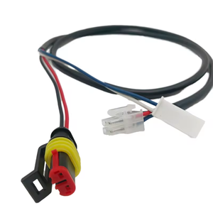 Faisceau de câbles OEM ODM Faisceau de câbles personnalisé pour connecteur de voiture Câble d'assemblage de câbles automobiles - Product Image 1