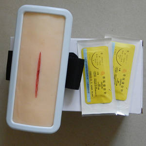 Medische Wetenschap Menselijk Hechtwerkmodel Simuleert Huidchirurgisch Hechtmodel Met Draagbare Vorm - Product Image 4