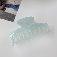Pince à cheveux polyvalente en feuille d'acétate pour femmes avec design de niche Grand os de dragon Dos élégant Accessoire pour cheveux