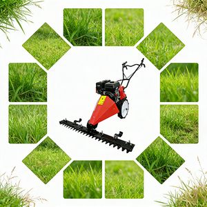 Decespugliatore a spinta 212cc a benzina, larghezza di taglio 80-120cm, altezza di taglio 1-8cm per frutteti e vigneti - Product Image 1