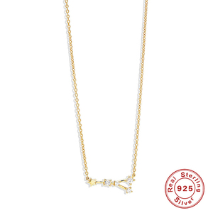 RINNTIN XP065 clásico exquisito 925 <span class=keywords><strong>plata</strong></span> esterlina doce constelaciones Logo colgante collar encanto Collar para mujer - Product Image 5