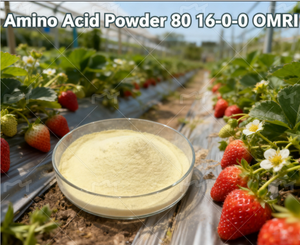 La polvere dell'amminoacido idrolizzata acido derivato dalla pianta per promuove l'assorbimento dei nutrienti della pianta e stimola la <span class=keywords><strong>crescita</strong></span> rapida - Product Image 3