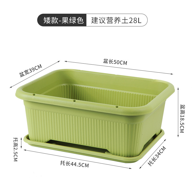 [Version courte] Plateau vert clair