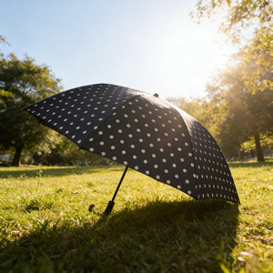 Folding Sun Umbrella For Women Automatic Open UV Protection Travel Use Iron Rib Sunny And Rainy Umbrella - Product Image 3