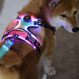 Okeypet pet 용품 custom LED 개 하네스 no pull 반사 충전식 빛난 형광 빛 업 pet 개 하네스 - Product Image 2