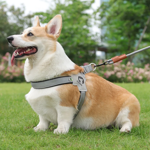 レアウィー ペット用品 犬用ハーネス カスタムロゴ 反射材付き 調整可能 サドルスタイル レザー製 小型犬用ハーネス - Product Image 6