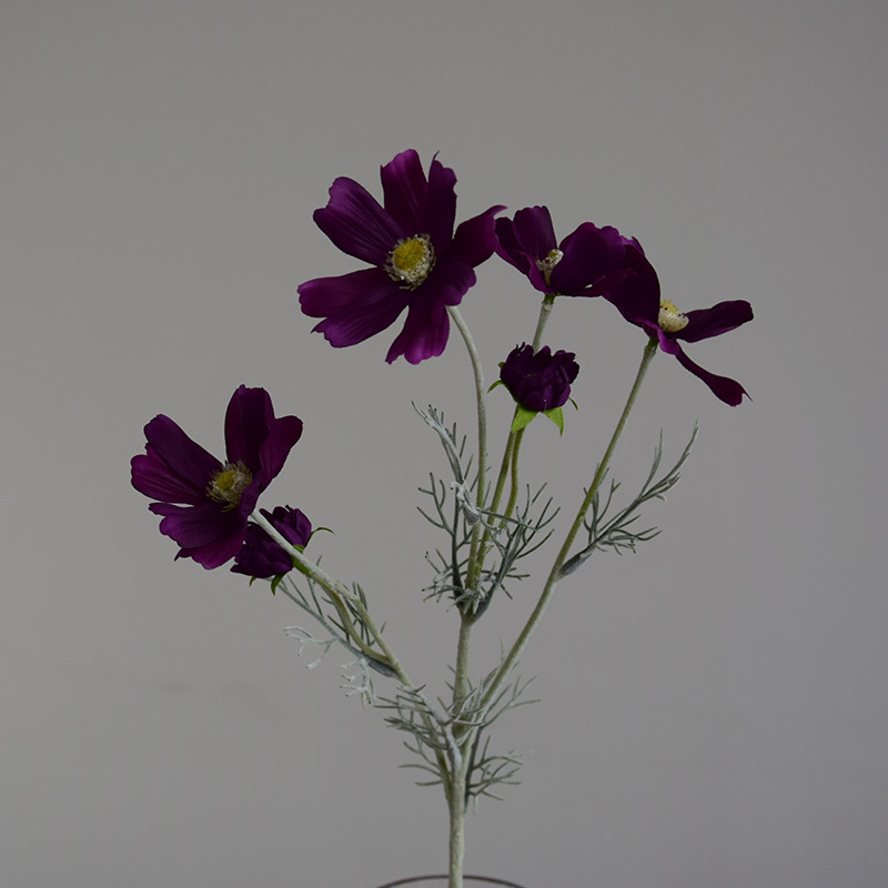 Pourpre Foncé