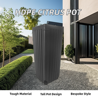 Vente en gros de grands pots d'agrumes classiques en PEHD carrés de grande taille pour plantes de pépinière utilisation intérieure et extérieure Design élégant pour la maison