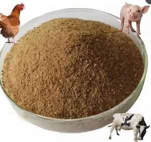 Probióticos para Alimentación Animal para el Cuidado de la Salud Animal - Product Image 2