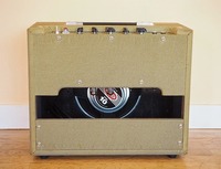 Amplificador de Guitarra Combo Personalizado Grand Amplifier 1*10\" con Válvula de Reverberación de 15W, Insignia con Logotipo Personalizado Disponible