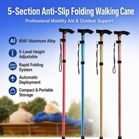 Canne de marche télescopique en aluminium CE à 3 sections, réglable et pliable, pour la randonnée en montagne, avec embout en caoutchouc, OEM/ODM