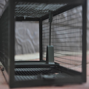 Piège à rats en métal intelligent, humain, en tôle galvanisée, répulsif à souris, piège à souris à l'état solide, cage à rats - Product Image 3