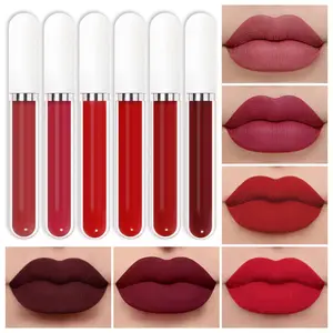 Lipstik Cair matte label pribadi kustom Lip Gloss Vegetarian Makeup tahan lama tahan air beludru baru kualitas tinggi