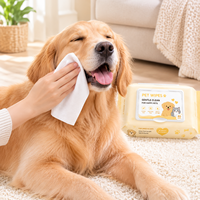 80 lingettes pour animaux de compagnie non tissées, douces, sans alcool, sans parfum, pour nettoyer les pattes, le corps, le visage et les oreilles des animaux